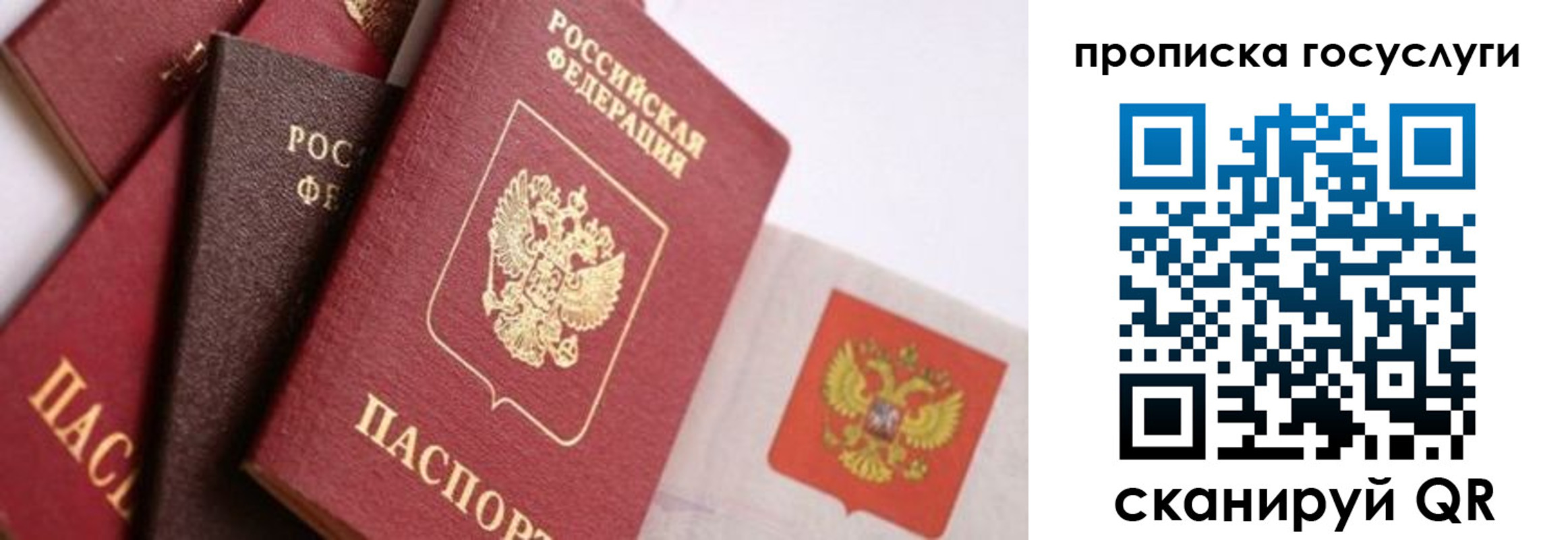 прописка законно в Сухиничи